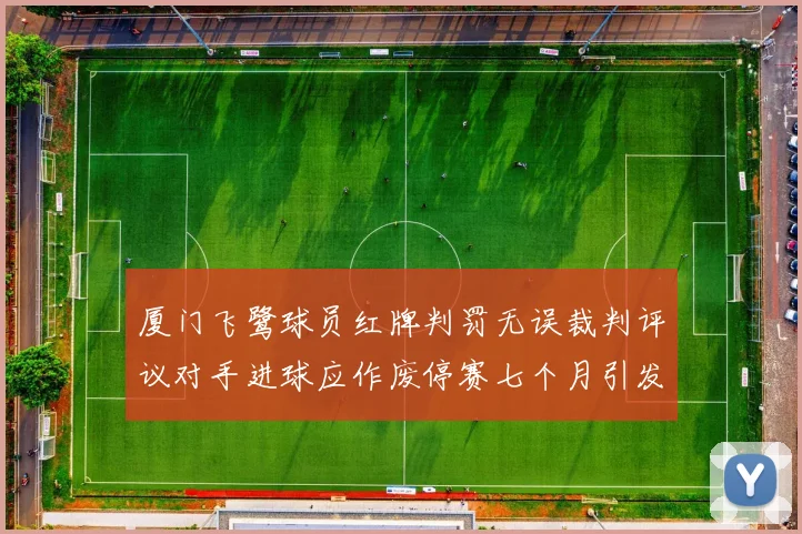 厦门飞鹭球员红牌判罚无误裁判评议对手进球应作废停赛七个月引发热议